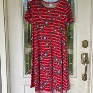Floral Striped Red Dress